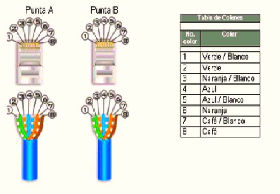 ESTÁNDARES DE FIBRA ÓPTICA Y DE CABLEADO UTP usoc wiring scheme 